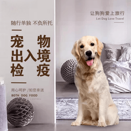 克拉玛依宠物托运到哥伦比亚猫狗宠物入境规定和