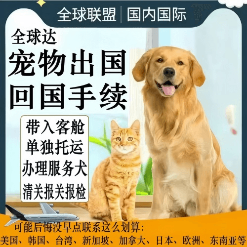克拉玛依宠物托运到柬埔寨宠物入境规定和要求
