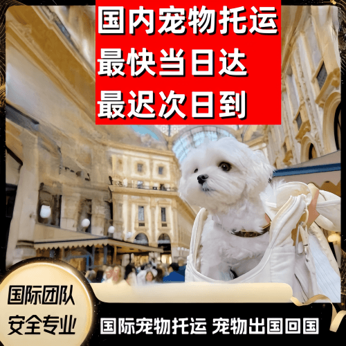 克拉玛依到澳大利亚（澳洲）宠物入境规定和要求